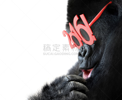 眼镜,猴年,红色,2016,大猩猩,水平画幅,新年,巨大的,猴子,数字