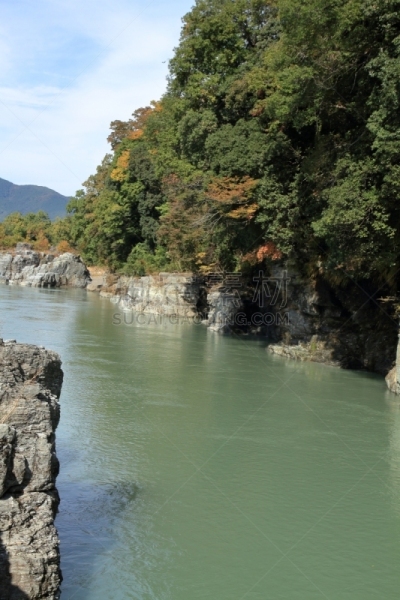 长土吕,崎玉县,秩父,日本,悬崖,红松,垂直画幅,天空,沟壑,无人