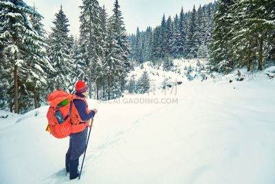 冬天,徒步旅行,雪,小路,森林,运动,极限运动,户外,高处,雪鞋