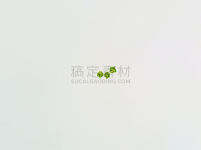 绿藻,放大效果,在下面,生物学,生物燃料,显微镜,退化单眼,淡水,海洋生命,环境