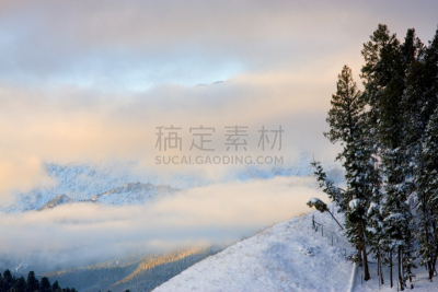 雪,白杨类,极端地形,户外,地形,雪堆,天空,背景,彩色图片