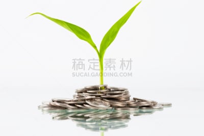 植物,多样,克伦纳,商务,频率,技术,想法,股市和交易所,能源,植物茎