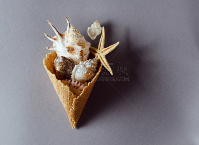 贝壳,夏天,华夫饼干,平铺,背景幕,灰色,背景,有角的,度假,收集