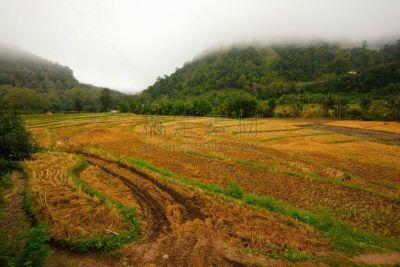 田地,农作物,天空,斯凯岛,草原,水平画幅,山,无人,古老的,夏天