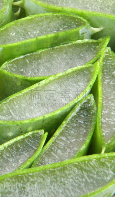 芦荟植物,芦荟,自然,垂直画幅,尖的,无人,湿,果汁,特写,草药