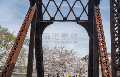 摩根镇,梁,桥,小路,在上面,小溪,西弗吉尼亚,步行道路,主干道,春天