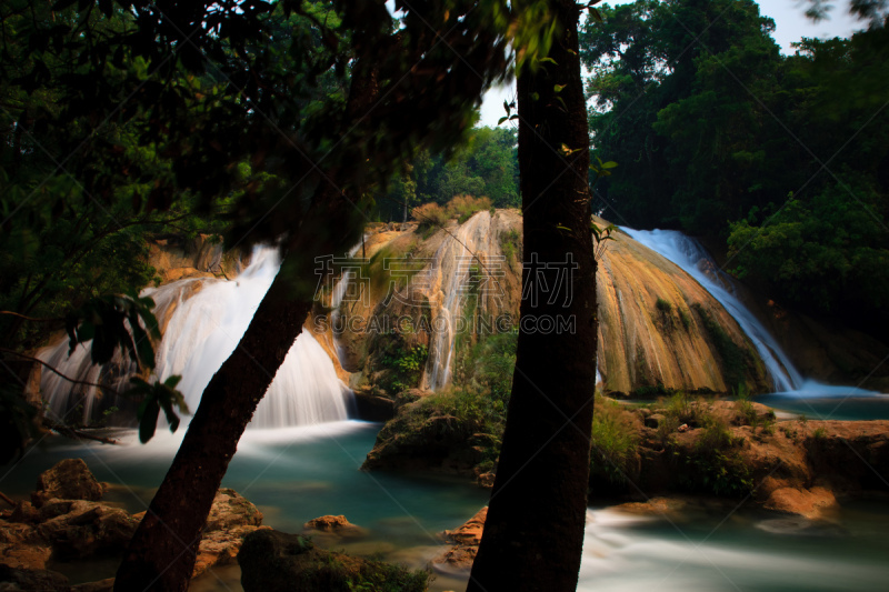 瀑布,agua azul cascades,帕伦克,恰帕斯州,水,美,水平画幅,枝繁叶茂,无人,热带雨林