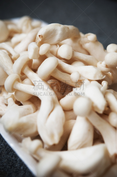 食用菌,山毛榉树,姬菇,垂直画幅,饮食,无人,有机食品,背景分离,特写,白色