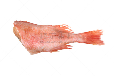 一个物体,石斑鱼,红色,白色,水平画幅,无人,尾鳍,海产,鱼类,背景分离