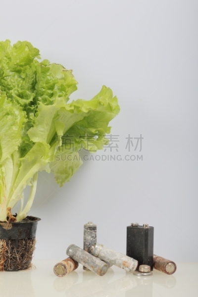 环境保护,电池,循环利用,锅,地球日,莴苣,绿色,活力,农业,有毒废物