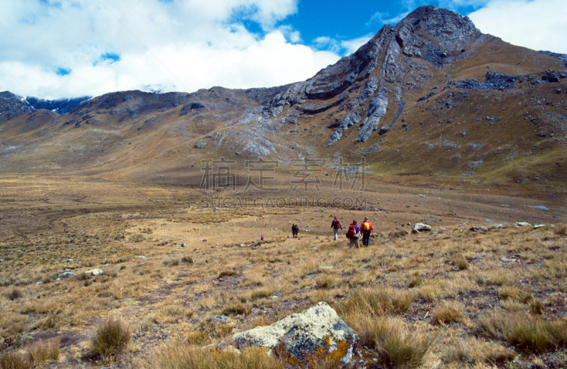 安地斯山脉,徒步旅行,科迪勒拉山脉,南美,水平画幅,雪,人群,户外,干的,草