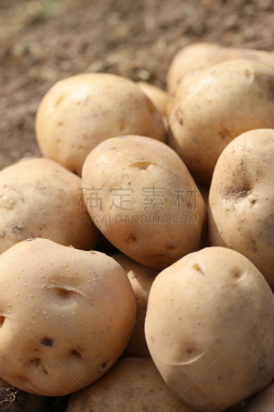 马铃薯,垂直画幅,饮食,景观设计,无人,日本,户外,户外活动,钾