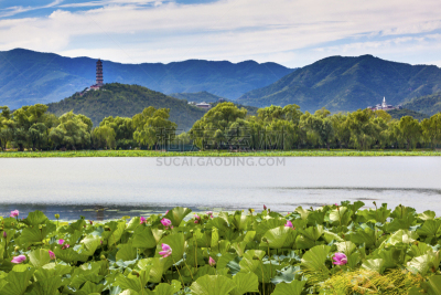 颐和园,荷花,园林,北京,宝塔,丰,胡青,纪念碑,水,公园