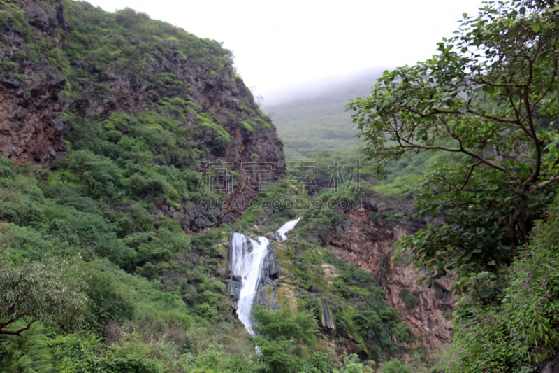 塞拉莱,阿曼,水,枝繁叶茂,瀑布,地形,小溪,绿山国家森林公园,度假胜地,美