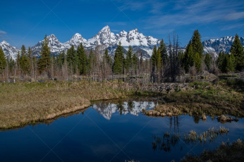 提顿山脉,地形,风景,杰克森,雪,美国西部,怀俄明,春天,湖,黄石河