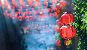 灯笼,春节,大量物体,纸灯笼,历日,越南,悬挂的,新加坡,狂欢节,运气