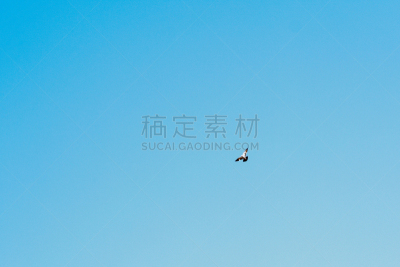 自然美,巴拉特布尔,拉贾斯坦邦,鸟类,天空,青绿色,夏天,地形,鸟编队飞行,阿拉斯加