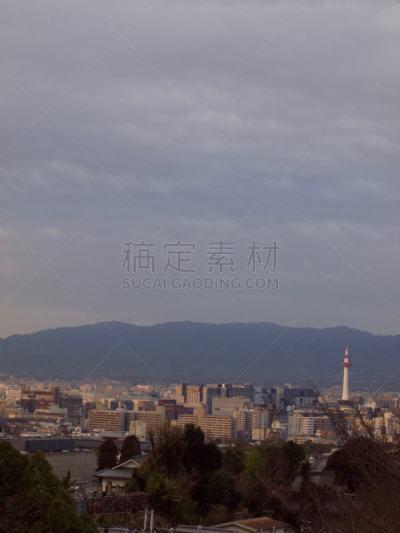 京都市,日本,京都塔,东山区,梅花,自然,垂直画幅,地形,建筑,雪