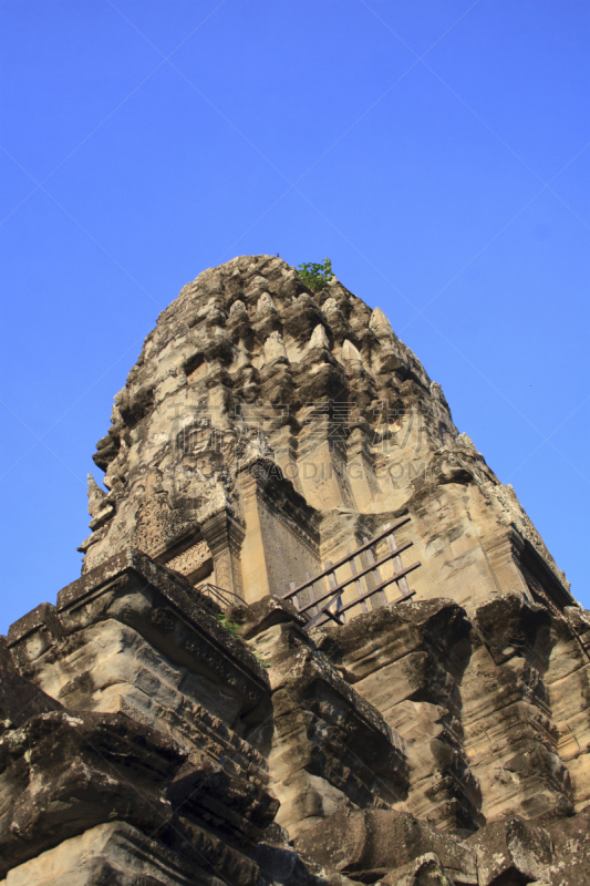 过去,支柱根,塔布笼寺,吴哥窟,垂直画幅,古代文明,柬埔寨,无人,热带雨林,户外