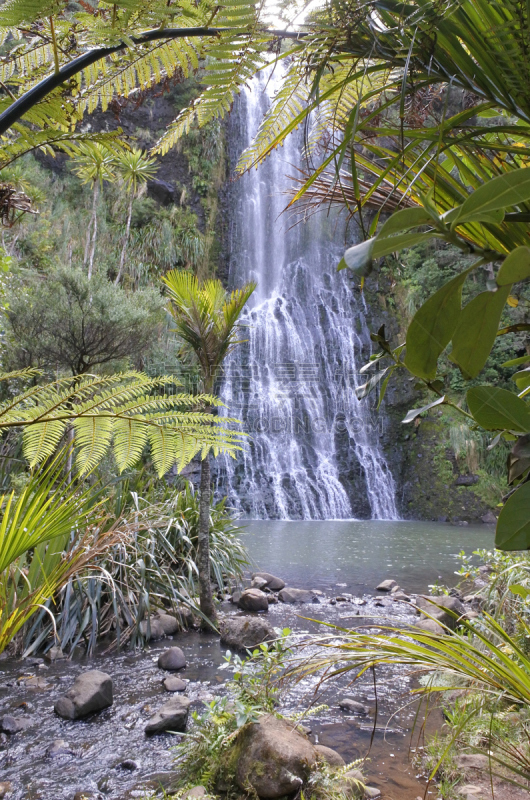 karekare falls,新西兰,灌木,怀塔克雷山脉地区公园,karekare,奥克兰区,新西兰北岛,自然荒野区,戏剧性的景观,垂直画幅