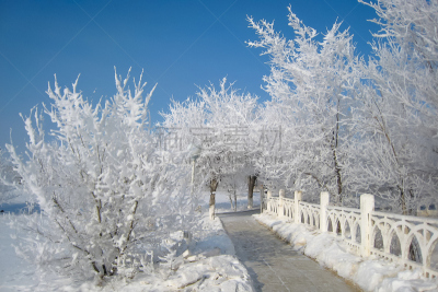 哈萨克斯坦,冬天,拜科努尔,天空,美,公园,水平画幅,雪,户外,白色
