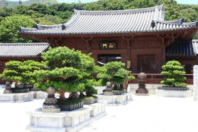 女修道院,唐朝,九龙,瓦,灵性,水平画幅,建筑,木制,无人,屋顶