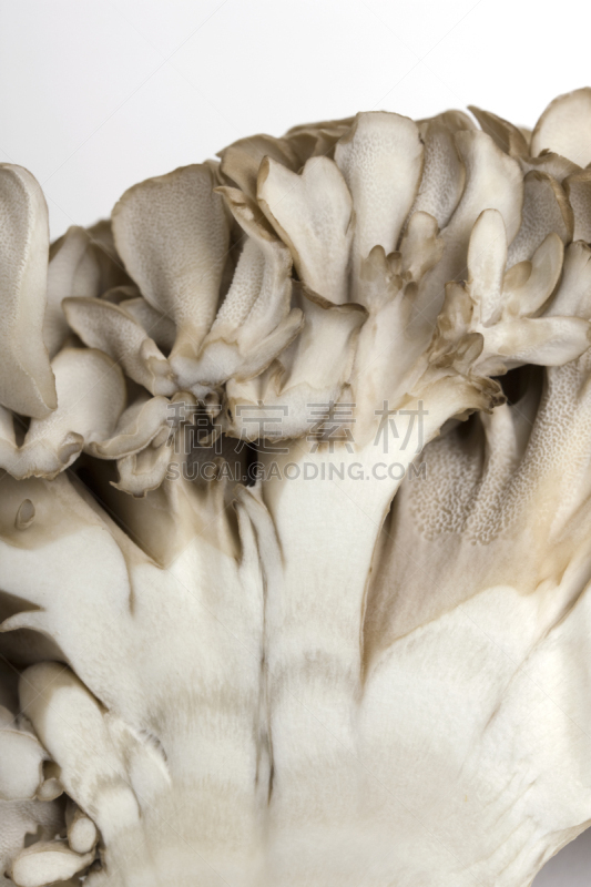 蘑菇,舞茸蘑菇,垂直画幅,橄榄,无人,成分,清新,蔬菜,食品,食用菌