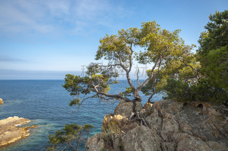 Landscape on Pointe du Layet in Le Lavandou in the Department Var of the province Provence-Alpes-Cote d´Azur