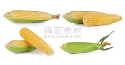 清新,玉米,白色背景,水平画幅,甜玉米,无人,外壳,湿,夏天,熟的