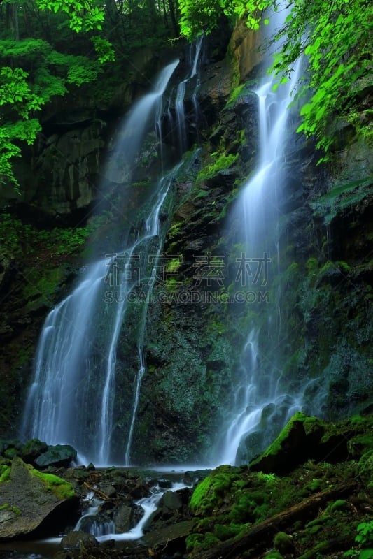 瀑布,夏天,秋田县,著名自然景观,春天,河流,岩石,户外,日本,山谷