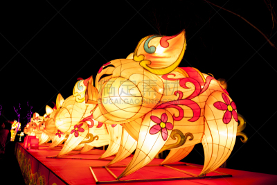 夜晚,灯笼,黄昏,明亮,多色的,红色,粉色,橙色,纸,华丽的
