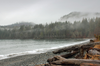 海滩,法国,苏克,浮木,省立公园,温哥华岛,水,水平画幅,林区,无人