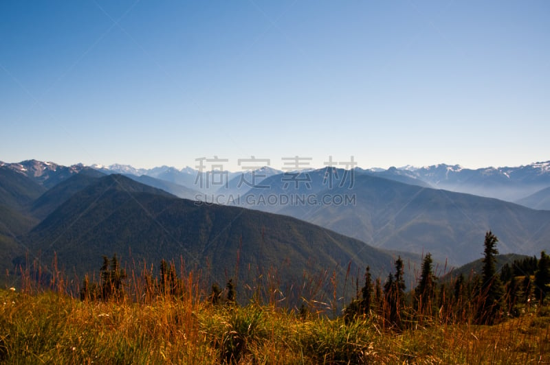 飓风山脊,自然,草地,水平画幅,地形,山,无人,户外,山脉,高处