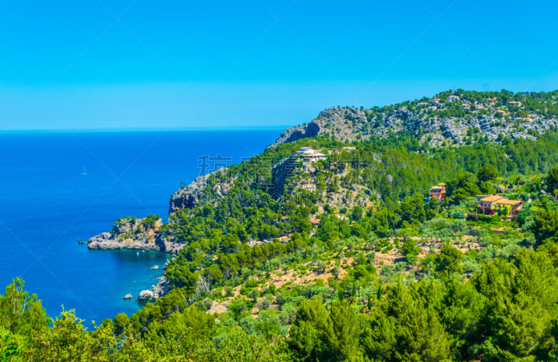 puerto de soller,海岸线,马略卡,西班牙,撕破的,面向陆地,自然界的状态,海港,野生动物,地中海