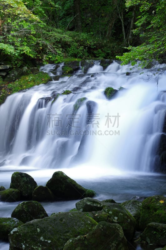 蓼科山,自然,垂直画幅,水,岩石,瀑布,长野县,千野,无人,苔藓