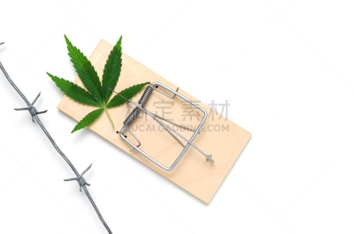 白色背景,带刺铁丝网,叶子,捕鼠器,瘾君子,白色,绿色,自然界的状态,健康保健,替代医药