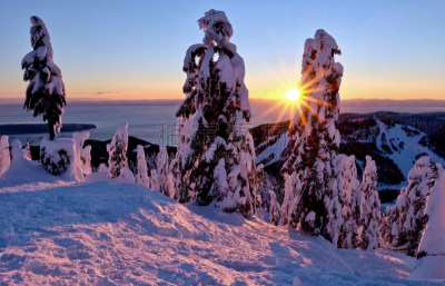 柏树,滑雪坡,山,塞浦路斯碗滑雪场,滑雪场,滑雪雪橇,滑雪运动,滑雪缆车,温哥华,雪山
