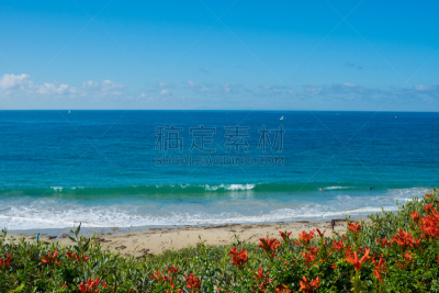 拉古娜海滩,南加利福尼亚,自然美,美国西部,美国,水平画幅,无人,夏天,户外,加利福尼亚