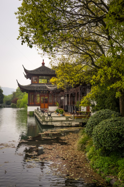 西湖,杭州,公园,黄海,花冠,东方石景花园,凉棚,垂直画幅,户外,湖
