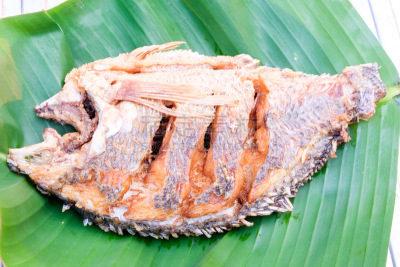 鱼类,餐具,格子烤肉,水平画幅,膳食,海产,特写,白色,晚餐