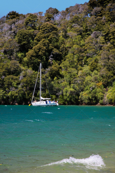 有帆船,marlborough sounds,海滩,picton,马尔堡,垂直画幅,美