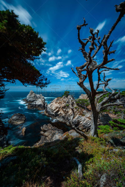 罗博斯角州立保护区,加利福尼亚,自然,垂直画幅,风景,图像,海洋,太平洋,美国,自然美