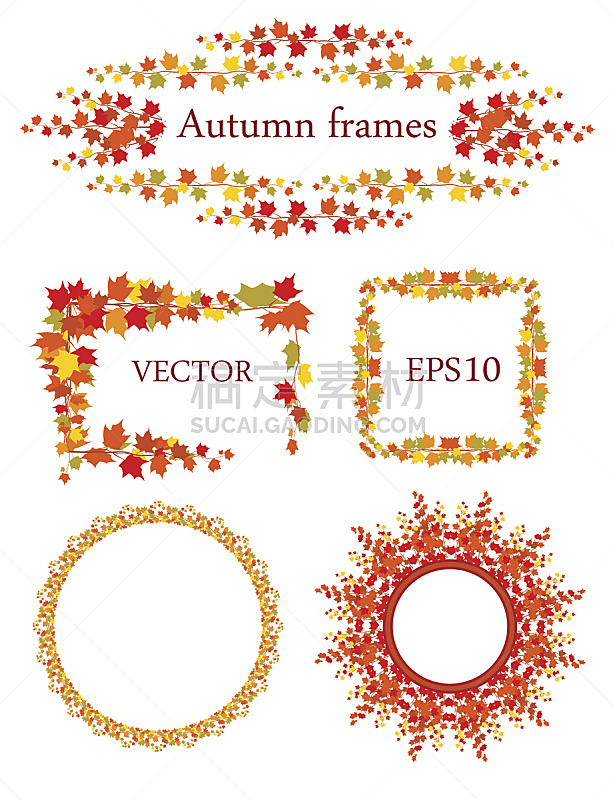 叶子,矢量,秋天,多色的,边框,形状,无人,九月,绘画插图,符号