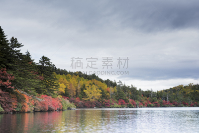 秋天,日本,叶子,池塘,蓼科山,千野,巴岳山,美,水平画幅,绿色