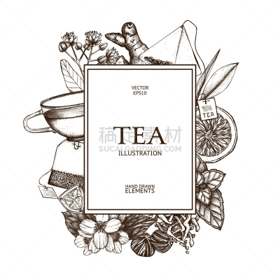 草图,茶树,华丽的,背景,背景分离,计划书,杯,茶碟,边框,茶杯