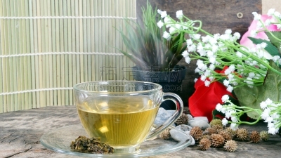 茶,热,苦啤酒,中医,品味差,茶花,茶几,起源,常绿植物,茶杯