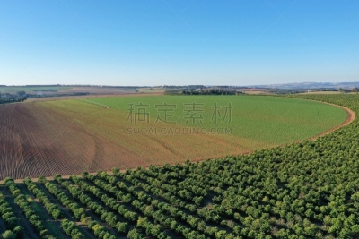 航拍视角,种植园,枢轴,平衡折角灯,中环,顺序,田园风光,地形,户外,技术