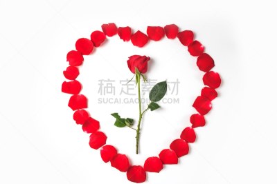 玫瑰,自然美,芳香的,贺卡,浪漫,蔷薇科,植物,背景,节日,礼物