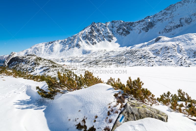 雪,湖,小路,风景,数字5,波兰,塔特里山脉,山谷,高处,覆盖