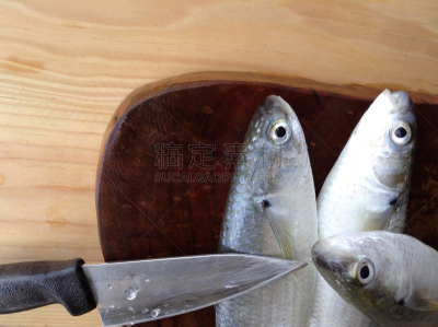 鱼类,炊具刀,人的头部,水平画幅,鲻鱼,海产,动物身体部位,橡木,海鱼,特写
